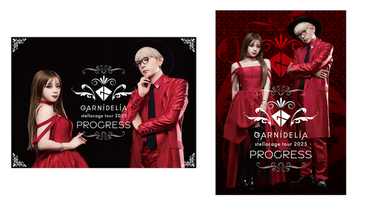 GARNiDELiA 入手不可 stellacage vol.4 ポスター額縁付 GARNiDELiA オフィシャルショップ – GARNiDELiA Official Shop