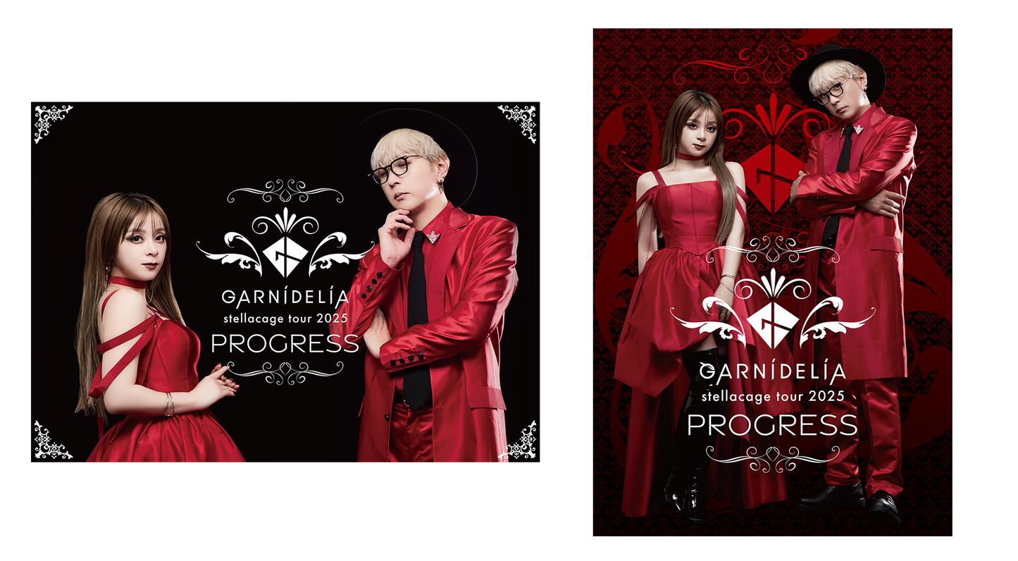 GARNiDELiA stellacage tour 2025 [PROGRESS] B2ポスター