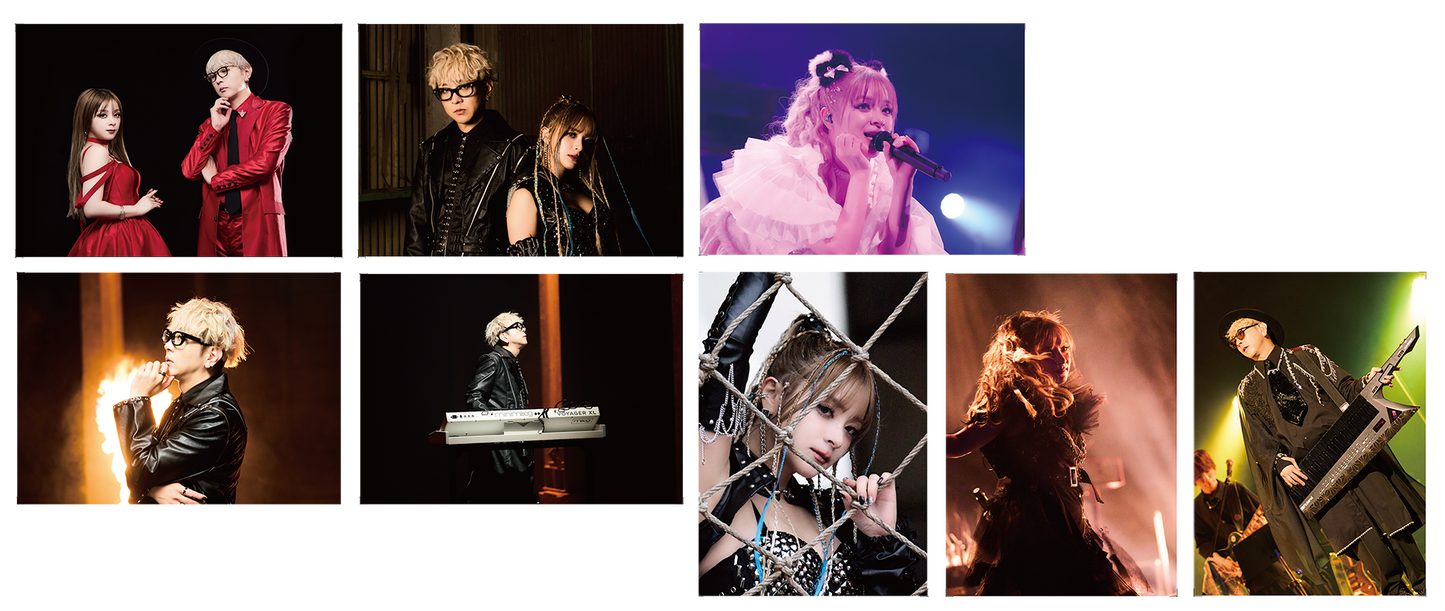 GARNiDELiA stellacage tour 2025 [PROGRESS] ランダムブロマイド