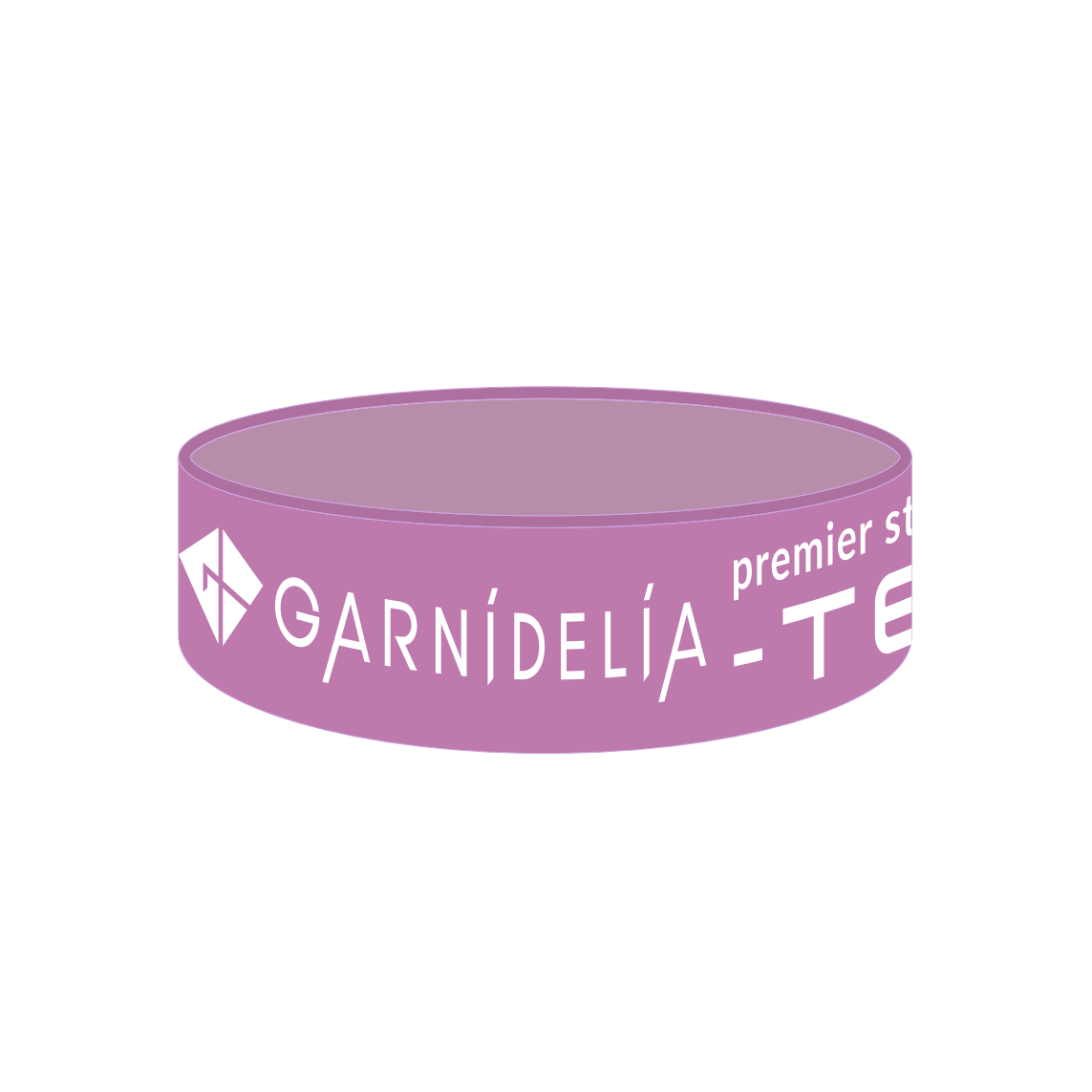 GARNiDELiA premier stellacage “TOKYO” World Tour 2024 -TEN- [MAKUAKE] UV color changing silicone band