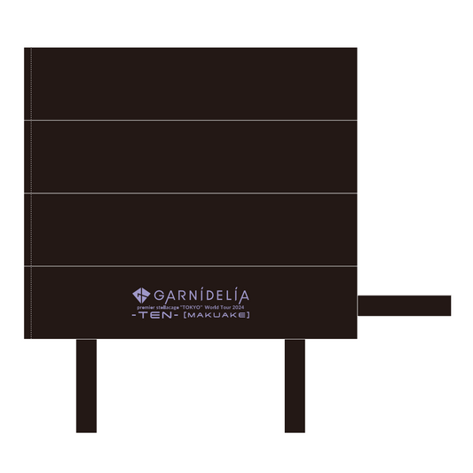 GARNiDELiA premier stellacage “TOKYO” World Tour 2024 -TEN- [MAKUAKE] stadium cushion
